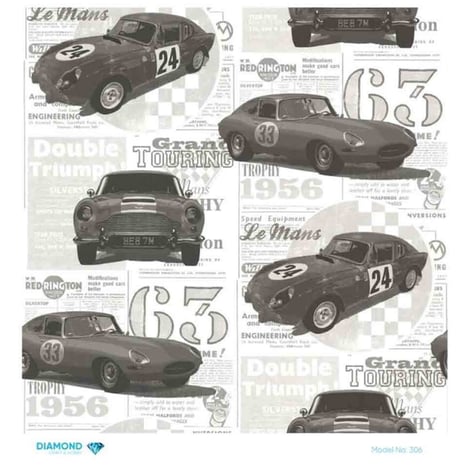 Diamond Model No 306