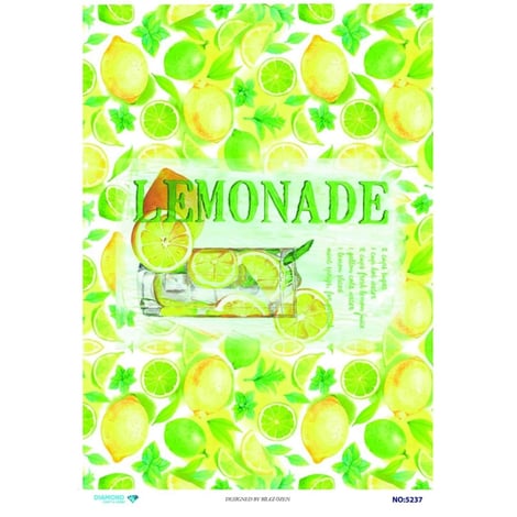 Diamond Model NO: 5237