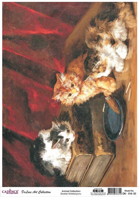 model-dk016-deluxe-art-collection-piri-ca-06a.jpg
