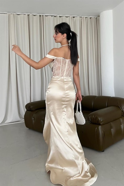 Kayık Yaka Drape Stella Elbise Pudra