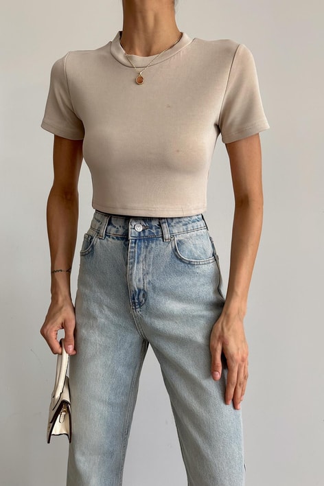 One Basic Crop Tshirt Taş