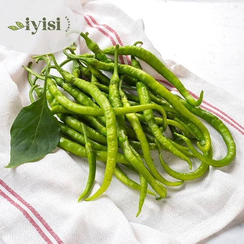 Organic Vegetable Bundle