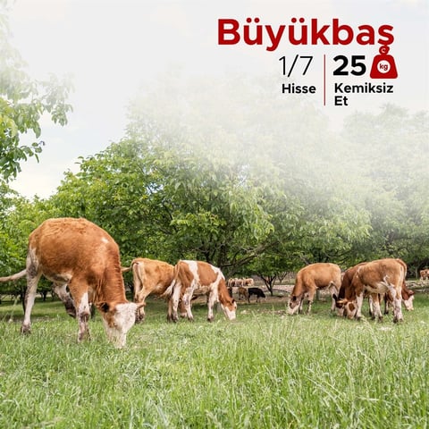 Büyükbaş Kurban Paketi