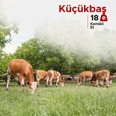 Küçükbaş Kurban Paketi