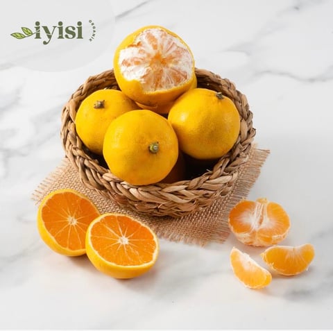 Organik Satsuma  Mandalina