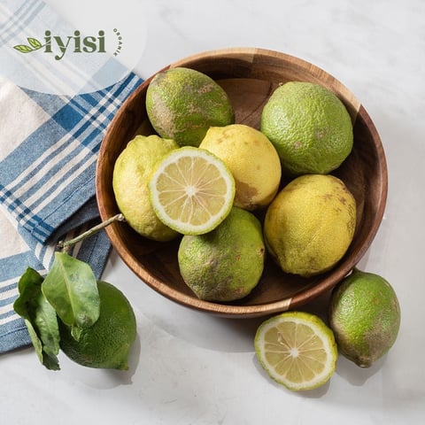 Organik Taze Limon