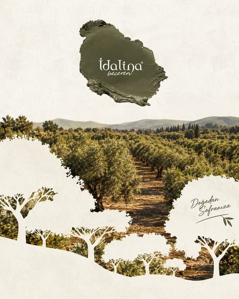 Doğadan sofranıza: İdalina zeytin bahçeleri