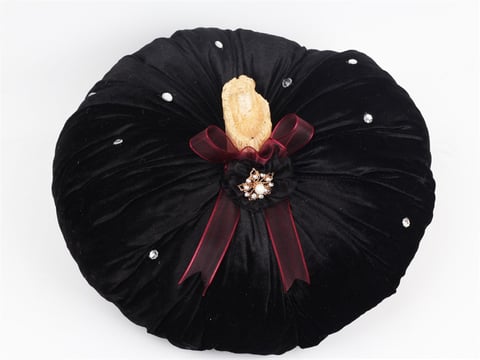 Siyah Pumpkin