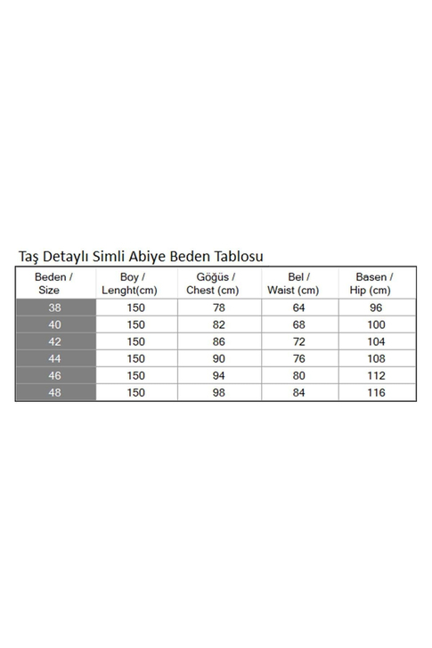 Taş Detaylı Göğsü Drapeli Simli Abiye Gümüş 19188