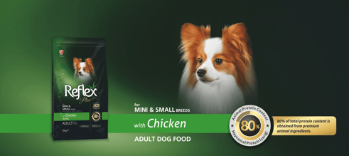 Reflex Plus Tavuklu Mini ve Küçük Irk Yetişkin Köpek Maması