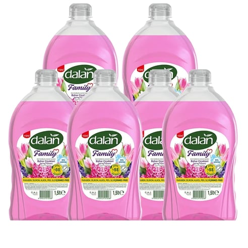 Dalan Family Bahar Çiçekleri Sıvı Sabun 1.5 lt x 6 Adet