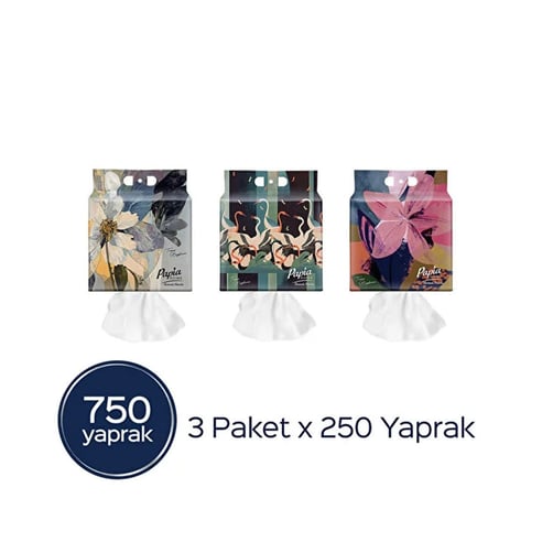 Papia Home Asmalı Havlu 750 Yaprak (3 Paket 250 Yaprak)