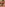 Bella Notte Özel Bölgesi Açık Dantelli Kırmızı Babydoll Gecelik 15033
