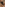 Bella Notte Özel Bölgesi Açık Dantelli Siyah Babydoll Gecelik 15042