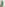 Ruffled Shoulder Triple Green Suit