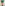 Plus Size Benetton Green Shorts with Elastic Waist and Side Pockets