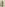 Venus Sleeve Feather Detail Evening Dress-Mint Green