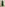 Venus Sleeve Feather Detail Evening Dress-Emerald Green
