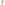 Arya Peshtemal Green