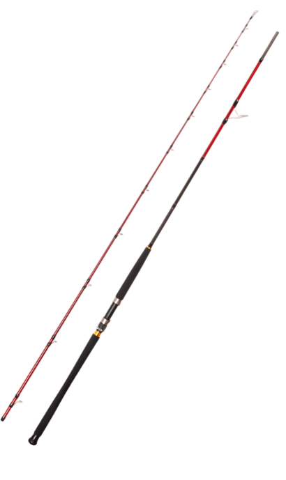 Jigging Kamışları Caretta Vector 3.05 m 60-150 g Shore Jig Rod