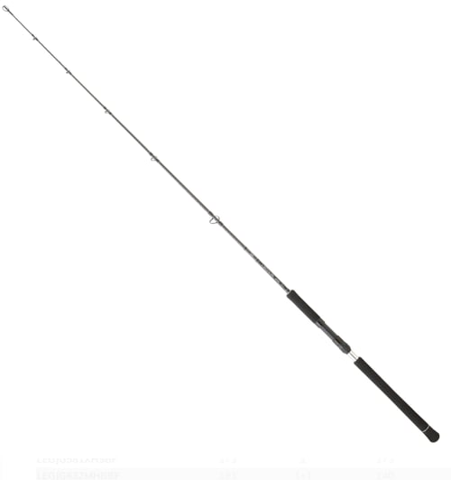 Jigging Kamışları Daiwa Legalis O BF JG 1.73m 100-300gr Tek P. Jig Kamış