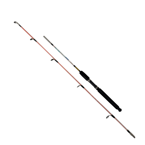 Tekne Kamışları FishPro Echo 150cm 100-250gr Tekne Kamışı