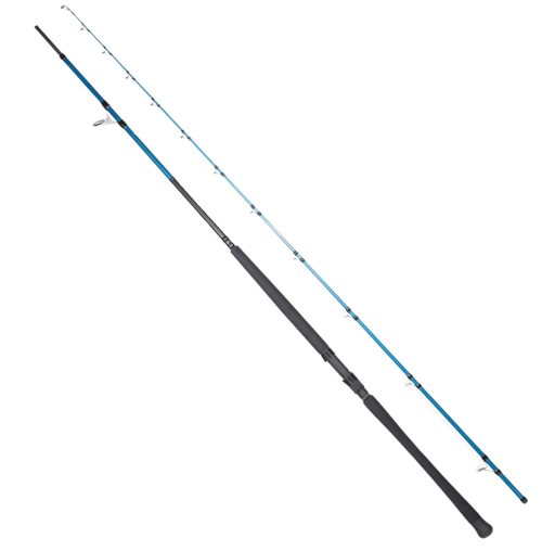 Jigging Kamışları RYUJI SHORE GAME FUJI KW 2.95M 30-100GR 2P SHORE JIG KAMIŞ
