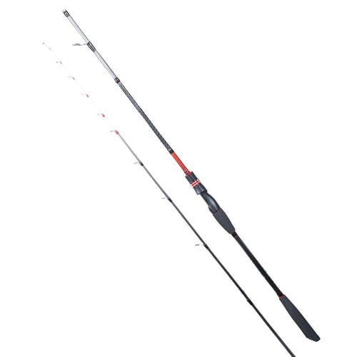 Tekne Kamışları Ryuji Spectra SP 1.98M 70-300GR 2P Bot Kamışı