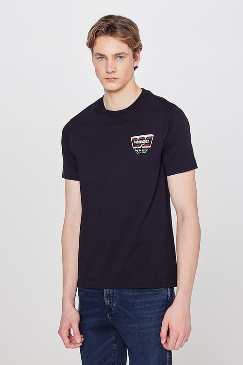 % 100 Pamuk Regular Fit Bisiklet Yaka Erkek T Shirt W2610018 001 SİYAH