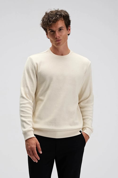 % 100 Pamuk Regular Fit Bisiklet Yaka Erkek Kazak EM615-BG BEJ