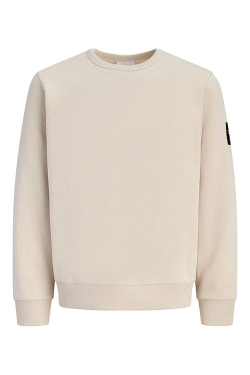 Jjcleveland Pamuklu Bisiklet Yaka Erkek Sweat 12298440 TAŞ