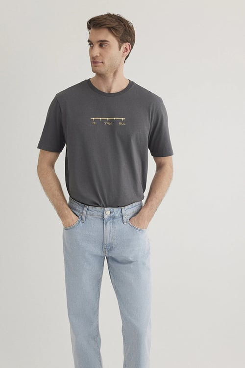 Mavi Baskılı % 100 Pamuk Regular Fit Bisiklet Yaka Erkek T Shirt 0612452-85309 GRİ