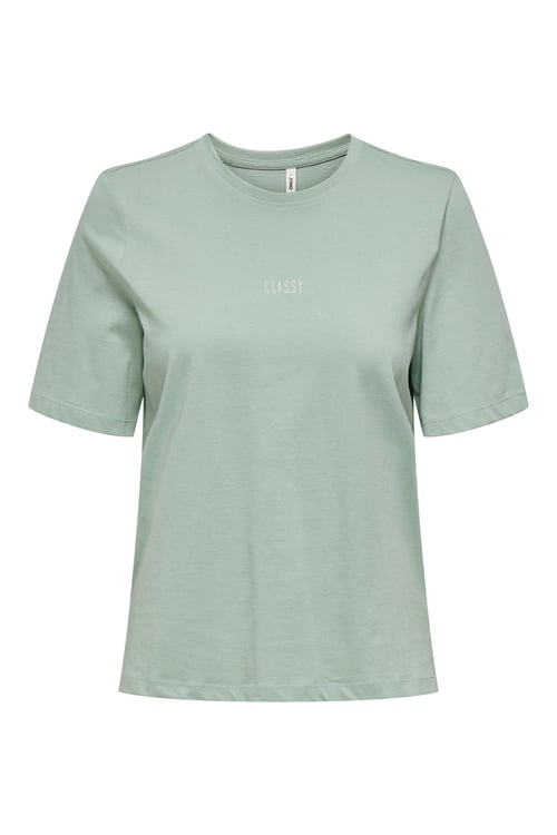 Onlmoody Pamuklu Regular Fit Bisiklet Yaka Kadın T Shirt 15343277 MİNT