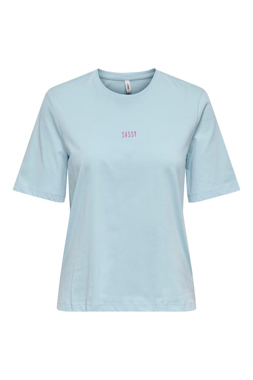 Onlmoody Pamuklu Regular Fit Bisiklet Yaka Kadın T Shirt 15343277 AÇIK MAVİ