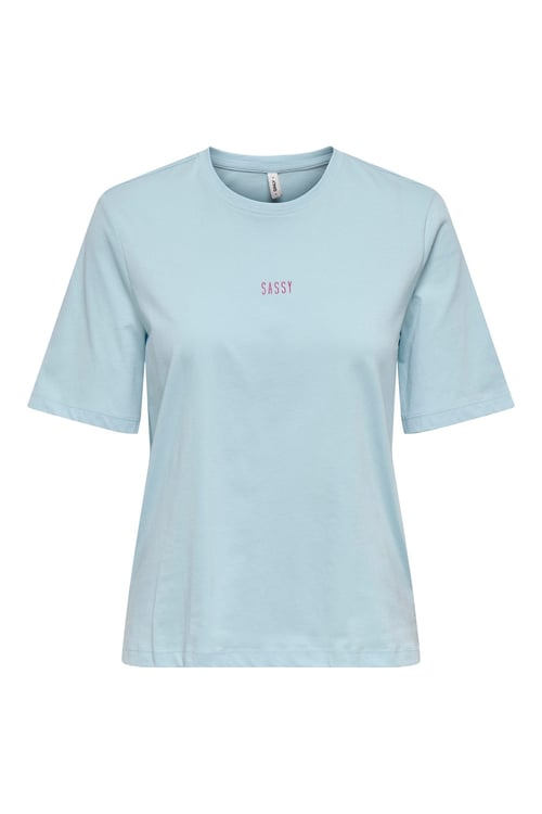 Onlmoody Pamuklu Regular Fit Bisiklet Yaka Kadın T Shirt 15343277 AÇIK MAVİ
