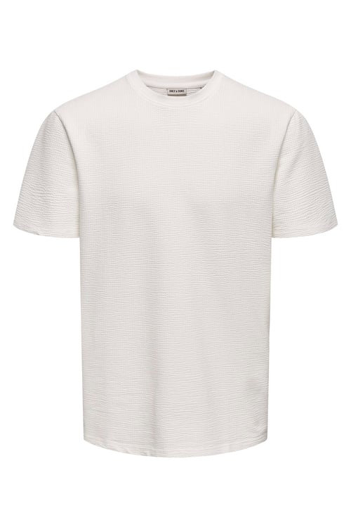 Only & Sons Onskian Pamuklu Regular Fit Bisiklet Yaka Erkek T Shirt 22028692 EKRU
