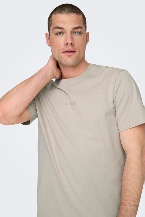 Only & Sons Onslevi % 100 Pamuk Relaxed Fit Bisiklet Yaka Logolu Erkek T Shirt 22028147 TAŞ