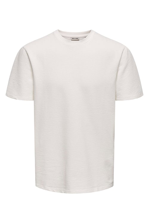 Onskian Pamuklu Regular Fit Bisiklet Yaka Erkek T Shirt 22028692 EKRU