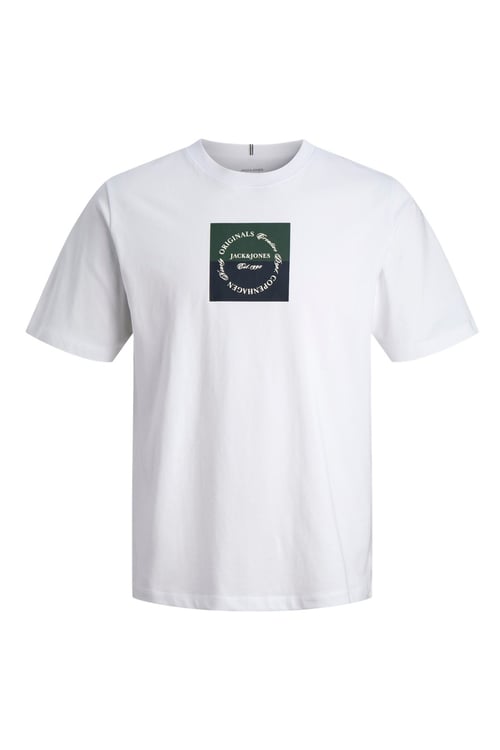 Originals Logolu Pamuklu Regular Fit Bisiklet Yaka Erkek T Shirt 12290856 BEYAZ