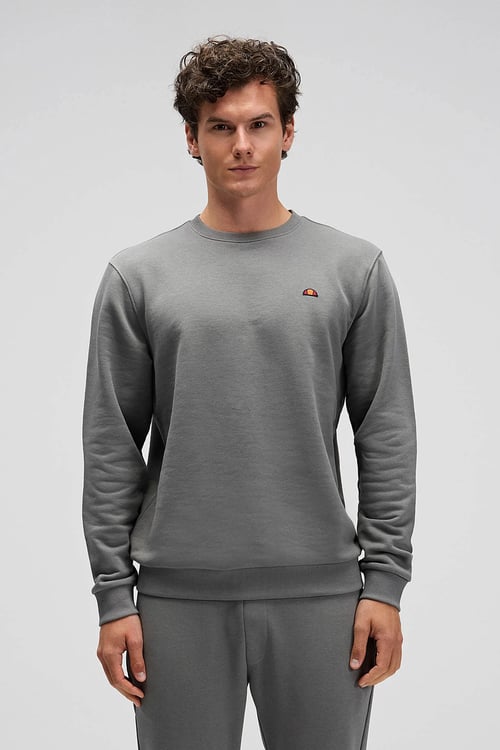 Pamuklu Regular Fit Bisiklet Yaka Logolu Erkek Sweat EM579-ANT ANTRASİT