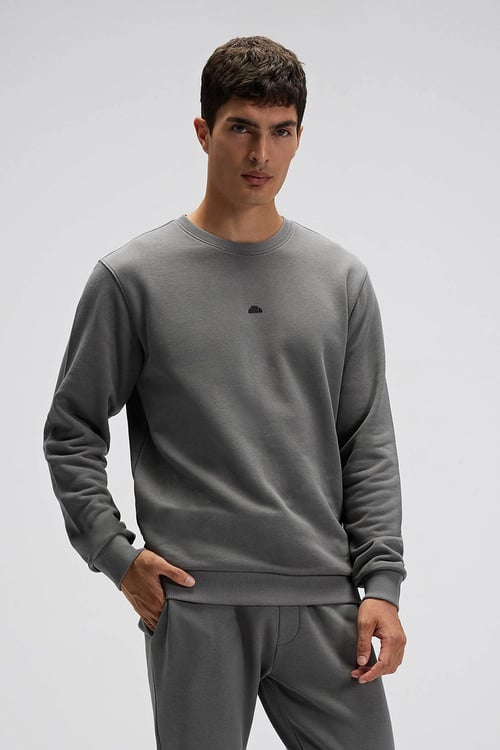 Pamuklu Regular Fit Bisiklet Yaka Logolu Erkek Sweat EM556-ANT ANTRASİT