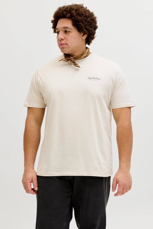 Plus Büyük Beden Pamuklu Regular Fit Bisiklet Yaka Erkek T Shirt 12289683 TAŞ