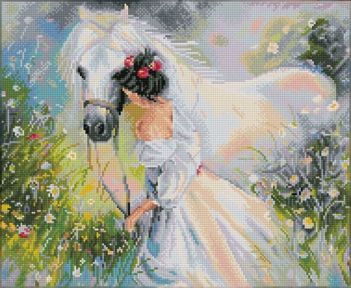 Diamond Dotz Hayaller Tarlası – 50 x 40,9 cm