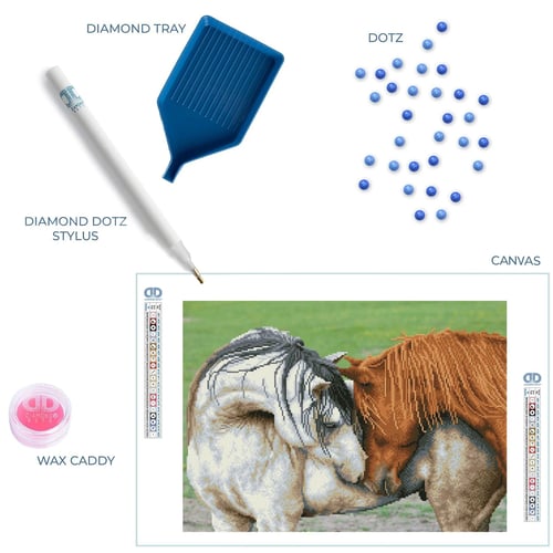 Diamond Dotz Kur Yapma – 62 x 45 cm