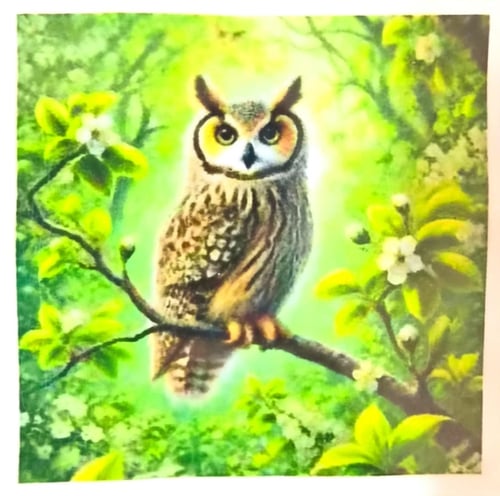 Elmas Mozaik Tablo, 30x30cm Ormandaki Baykuş Boncuk Yapıştırma Kiti  
