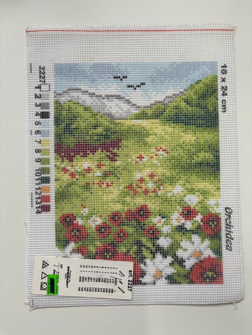 Orchidea Goblen 18x24