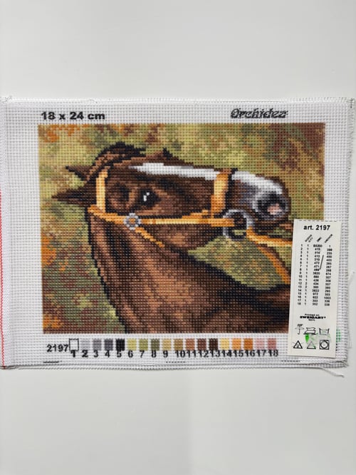 Orchidea Goblen 18x24