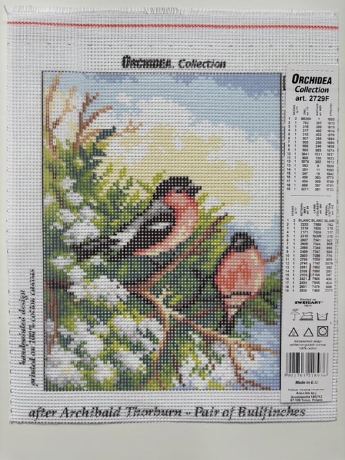 Orchidea Goblen 18x24