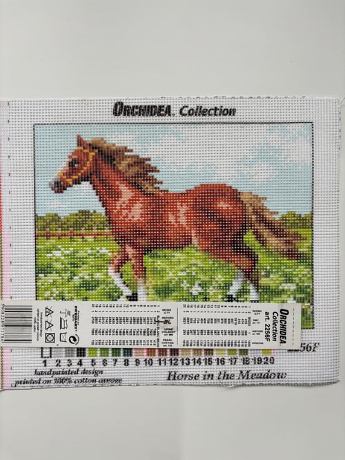 Orchidea Goblen 18x24