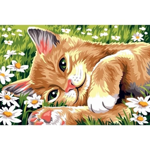 SEG GOBLEN 30x40CM